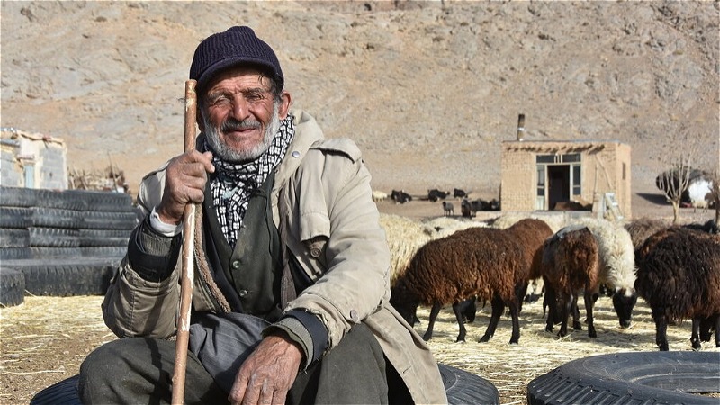 پري و چوبان