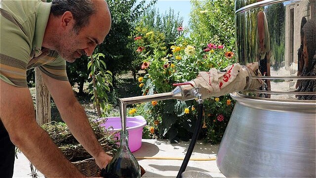 هر محصول  يک جشن  روايت  آذربايجان غربي  از سنت و شادي