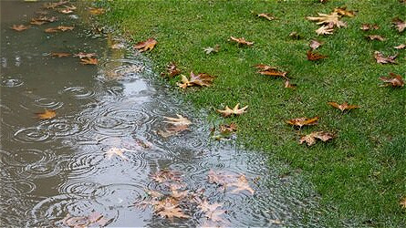 ثبت۴۵۱ میلیمتر بارش در آذربایجان غربی؛۲۱ کیلومتر رودخانه لایروبی شد