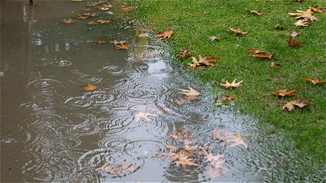 ثبت۴۵۱ میلیمتر بارش در آذربایجان غربی؛۲۱ کیلومتر رودخانه لایروبی شد